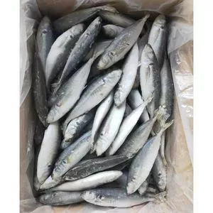 High Quality Carton Packing Frozen Horse Mackerel Fish Good...