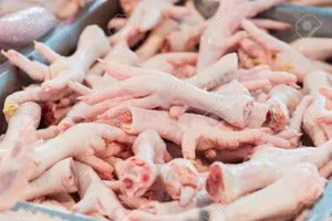 Halal Pés de frango congelados de alta qualidade 
