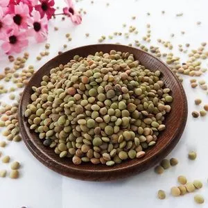 Lentils wholesale high quality green lentils