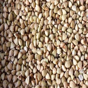 wholesale organic sale black gluten free roasted buckwheat kernel