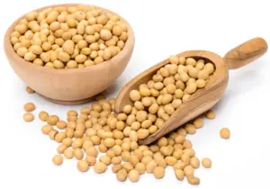Good quality Soya beans 