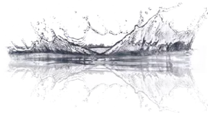 Technical Grade and Food Grade Phosphoric Acid