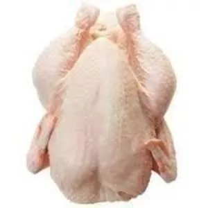 Chicken Feet Cutting part fresh, Chicken Feet Halal &amp; Fresh...