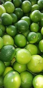 Flores - Aromáticas-Frutas