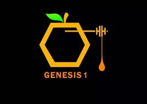 Bee products honey propolis wax pollen