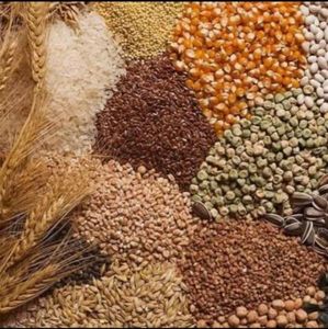 Soja, açúcar ic45, milho