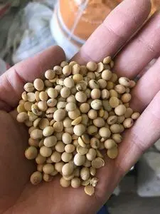 大豆、玉米、小麦