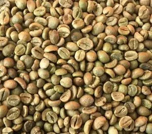 VIETNAM ROBUSTA Coffee Beans