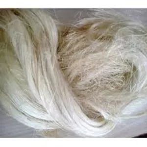 Natural sisal fiber for sale