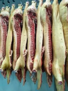 猪肉侧 （皮肤上，后脚上的前, 腿的面颊上脂肪厚度在 6-7 spondales 3 cm)&amp;gt;