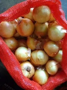 Cebolla, patata, tomate en general