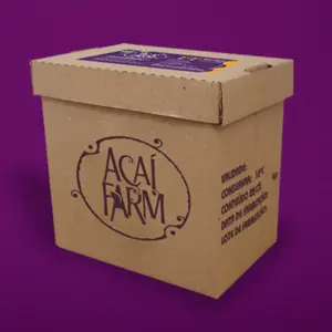 传统巴西莓或瓜拉那 - 10L