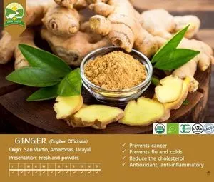 新鲜的金格 / 詹吉布雷 