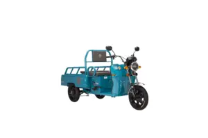 JINPENG JG110 Triciclo Elétrico de Carga | Veículo Elétrico...