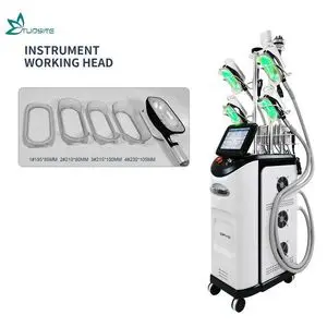 360 Fat Freezing 5 Handle Body Slimming Machine