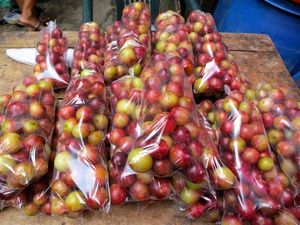 Camu-camu do Amazonas