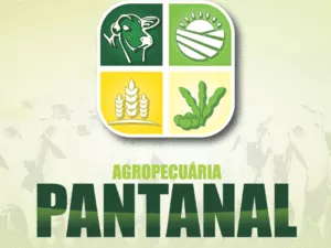 Beef, whole beef, cuts of meat, fresh and selected beef