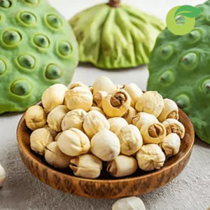 Semente de lótus congelada e semente de lótus seca disponível