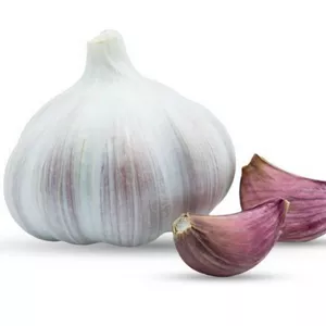Ajo blanco