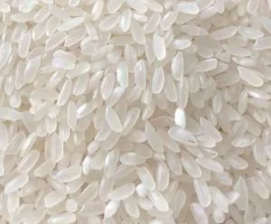 Medium camolino rice