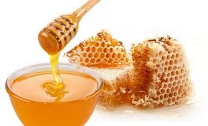 Pure Honey from Brazil