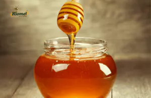Organic Honey