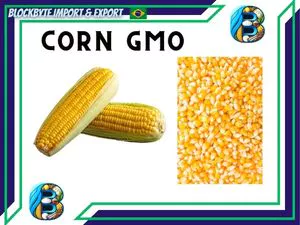 Export-Grade Corn