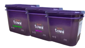 Sorbet de Açaí com Guaraná - 3.6 L