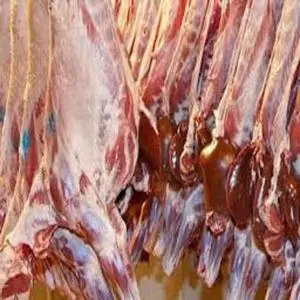 Carne de cordeiro congelada fresca de alta qualidade / carneiro...