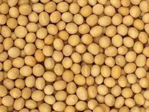 SOYBEANS