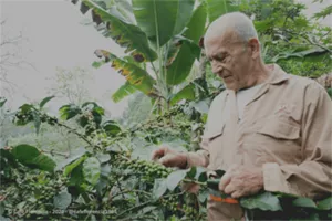 Produtos