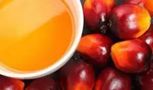 ACEITE CRUDO DE PALMA