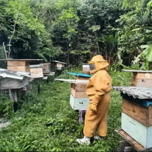 Miel Orgánica de la Selva Amazónica