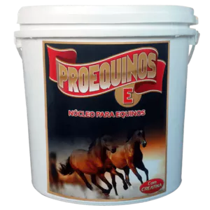PROEQUINOS-E - Equine