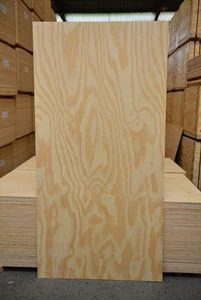 Offset pine - Pinus Plywood