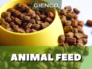 Animal Feed