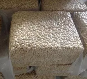 Preços competitivos de castanha de caju bruto
