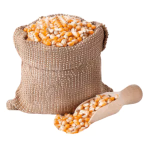 Premium Quality Natural Yellow Corn | Dried Yellow Corn Grains...