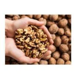 Venda por atacado PREMIUM GRADE Walnut Kernel, nozes sem casca