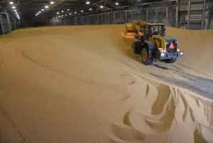 巴西转基因大豆准备交付