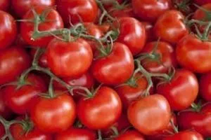 Tomates Frescos
