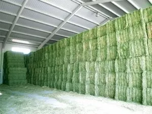 Premium Grade Alfafa Hay for Animal Feeding Stuff Alfalfa /...