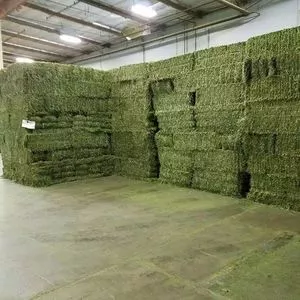 Rhodes Grass Hay Bales For Animal Feed and Forage/alfalfa hay...