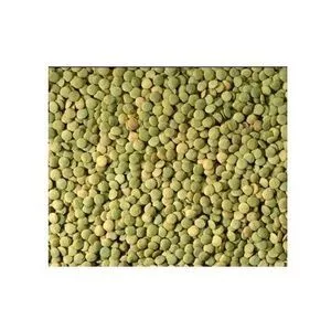 Cheapest Price Football Green Lentils Available Here For selling