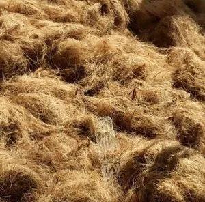 Best Selling Natural Coconut Fiber With 100% From Coconut Coir