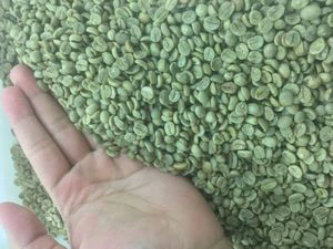 Café verde em grãos