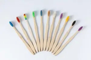 Escova de dentes de bambu natural e ecológica