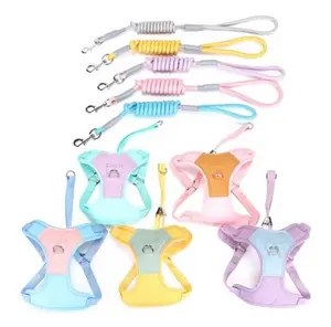 Peitoral anti-puxão personalizado para cães com bolsa e guia