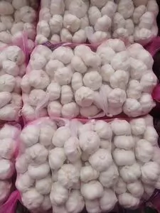 Alho branco normal chinês / alho branco puro / fre