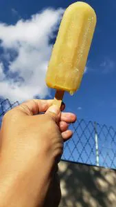 cane broth popsicle